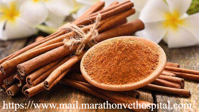 Segudang Manfaat Kayu Manis