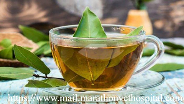 Rahasia Daun Salam: Herbal Tradisional